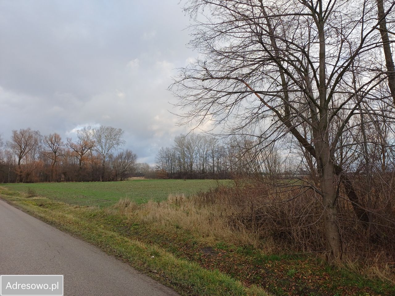 Działka rolna Kozery Nowe, ul. Popławska. Zdjęcie 12