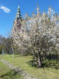 Działka rod Gliwice Szobiszowice, ul. Bernardyńska. Zdjęcie 1