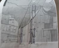 Działka rolna Słonne Dział. Zdjęcie 1