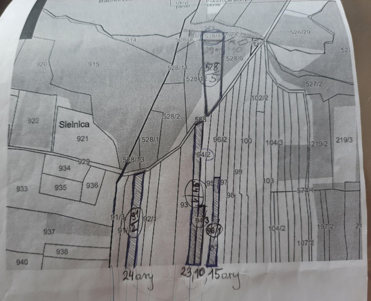 Działka rolna Słonne Dział. Zdjęcie 2