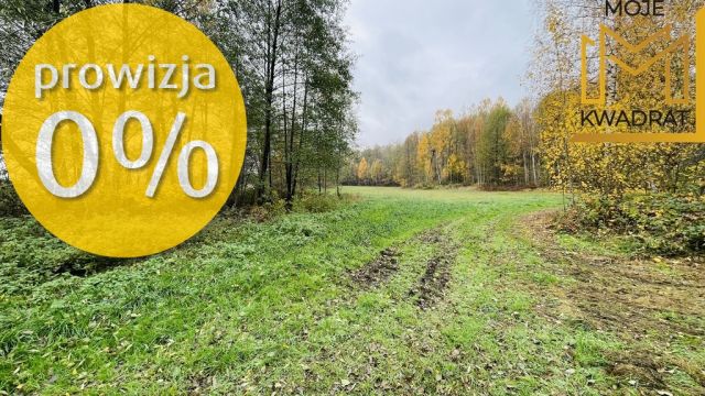 dom wolnostojący, 4 pokoje Drużbice-Kolonia. Zdjęcie 7