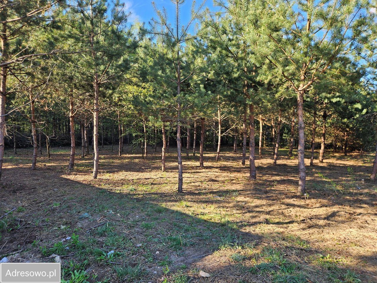 Działka budowlana Tomaszów Mazowiecki Podoba, ul. Torowa. Zdjęcie 3