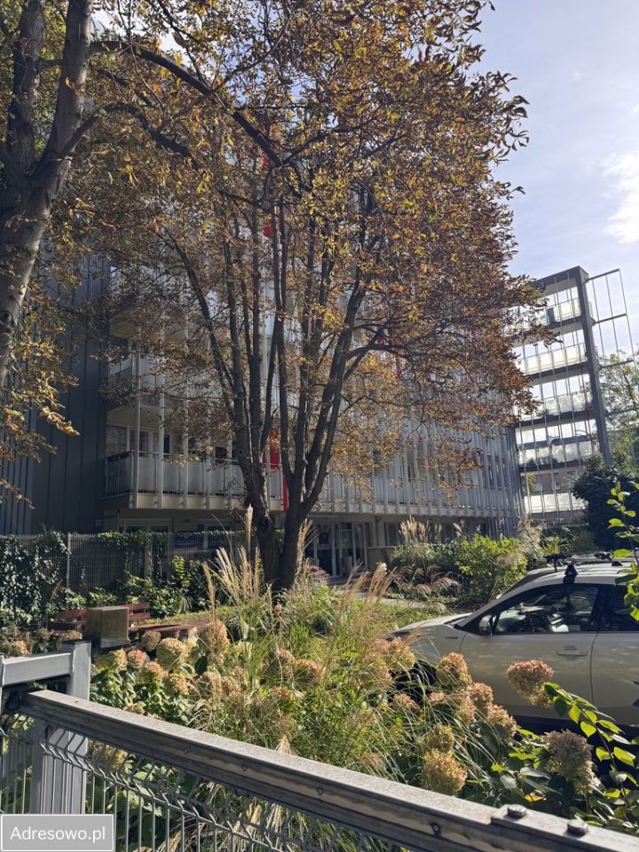 Mieszkanie 2-pokojowe Wrocław Śródmieście, ul. Czysta. Zdjęcie 13