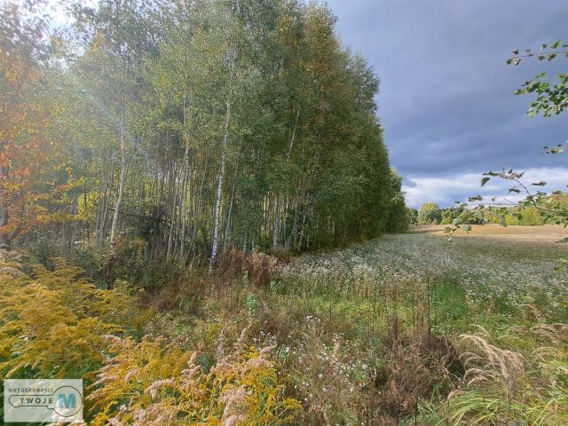 Działka siedliskowa Łagów. Zdjęcie 3