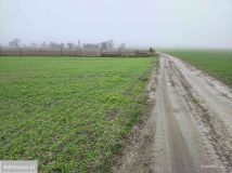 Działka rolna Nowy Lubosz. Zdjęcie 2