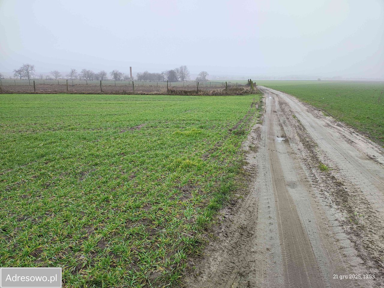 Działka rolna Nowy Lubosz. Zdjęcie 3