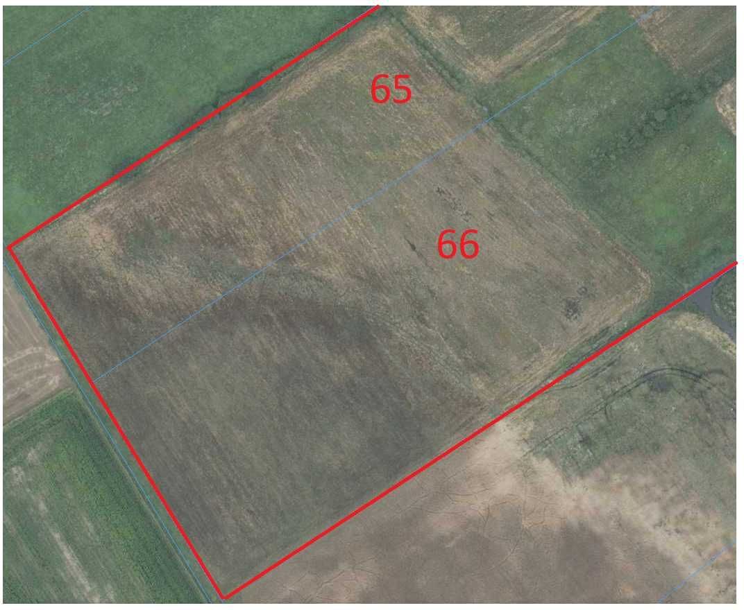 Działka rolna Niedanowo. Zdjęcie 5