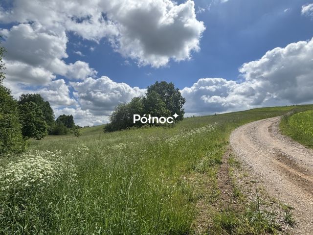 Działka Polimonie. Zdjęcie 18
