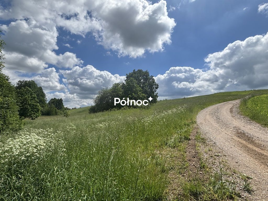 Działka Polimonie. Zdjęcie 18