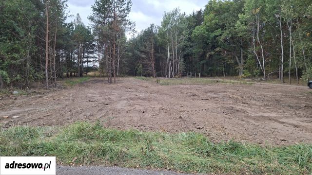 Działka budowlana Zielona Góra Drzonków, ul. Radosna. Zdjęcie 1