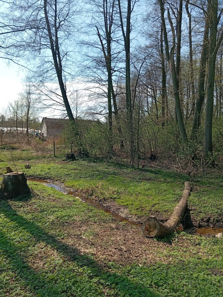 Działka rolno-budowlana Biejków. Zdjęcie 5