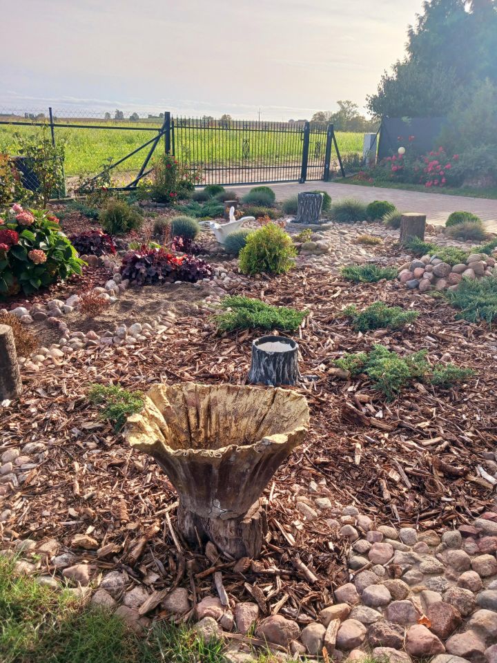 dom wolnostojący, 4 pokoje Węgiersk. Zdjęcie 4