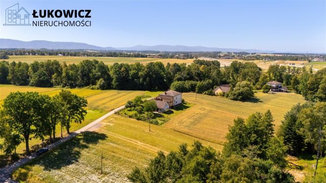 Działka budowlana Dankowice. Zdjęcie 16