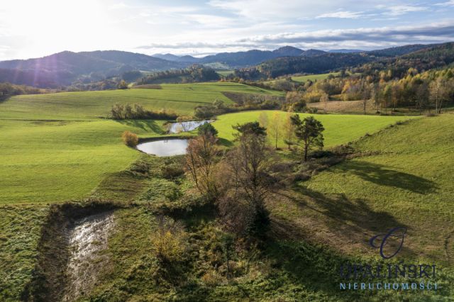 Działka inwestycyjna Kiełczawa. Zdjęcie 13