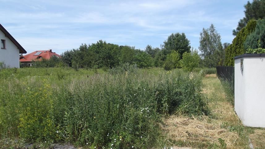 Działka budowlana Warszawa Białołęka, ul. Białołęcka. Zdjęcie 3