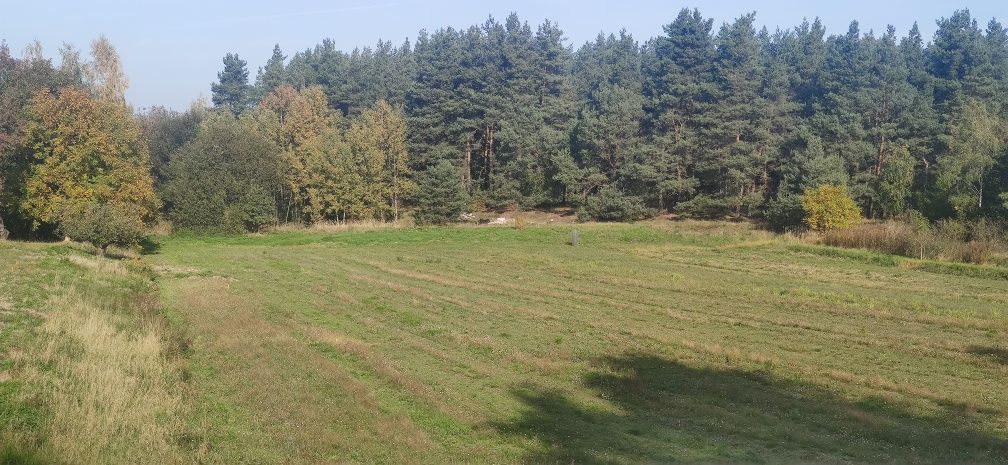 Działka budowlana Czernikowice. Zdjęcie 5