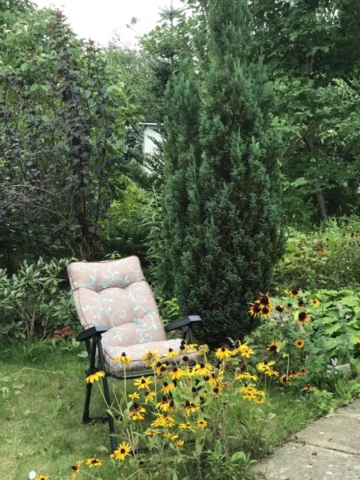 Działka rekreacyjna Toruń Kluczyki , ul. Przy Grobli. Zdjęcie 3