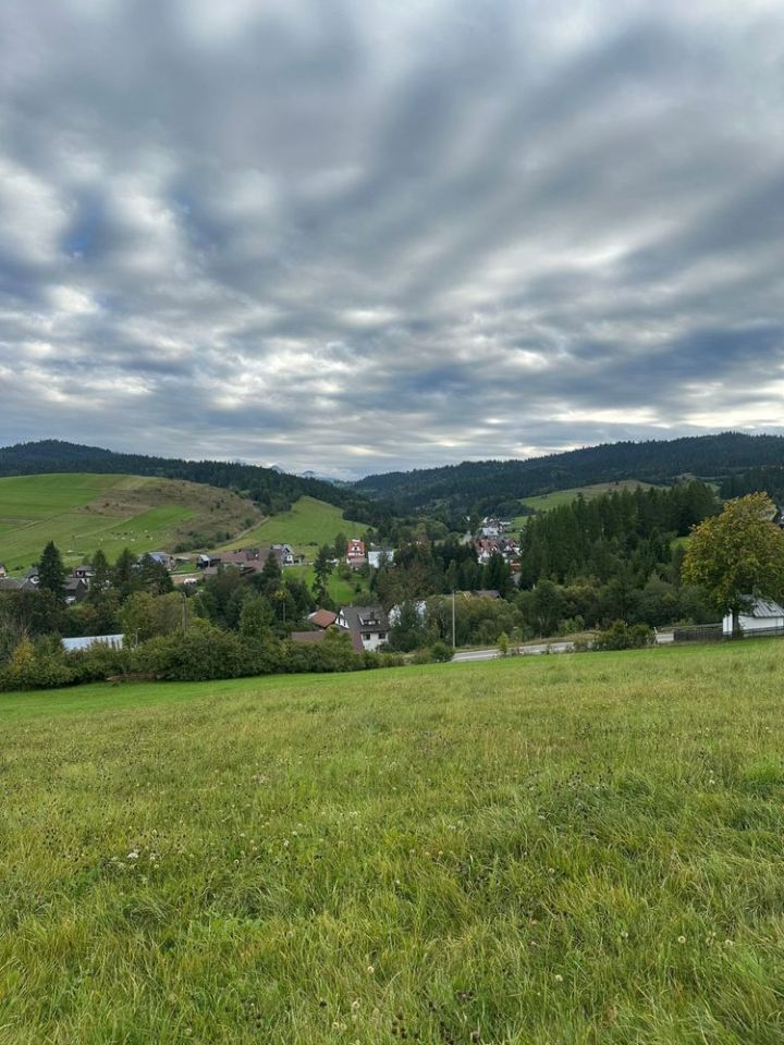 Działka budowlana Łapsze Wyżne. Zdjęcie 3