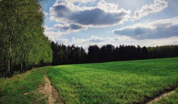 Działka rolna Orzełek