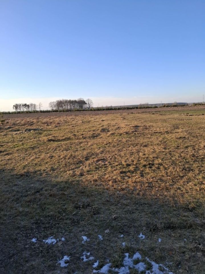 Działka budowlana Strzyżew, ul. Brzozowa. Zdjęcie 2