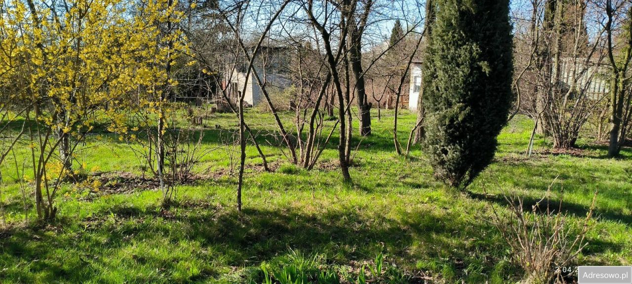 Działka rod Gliwice Wójtowa Wieś, ul. Ku Dołom. Zdjęcie 9