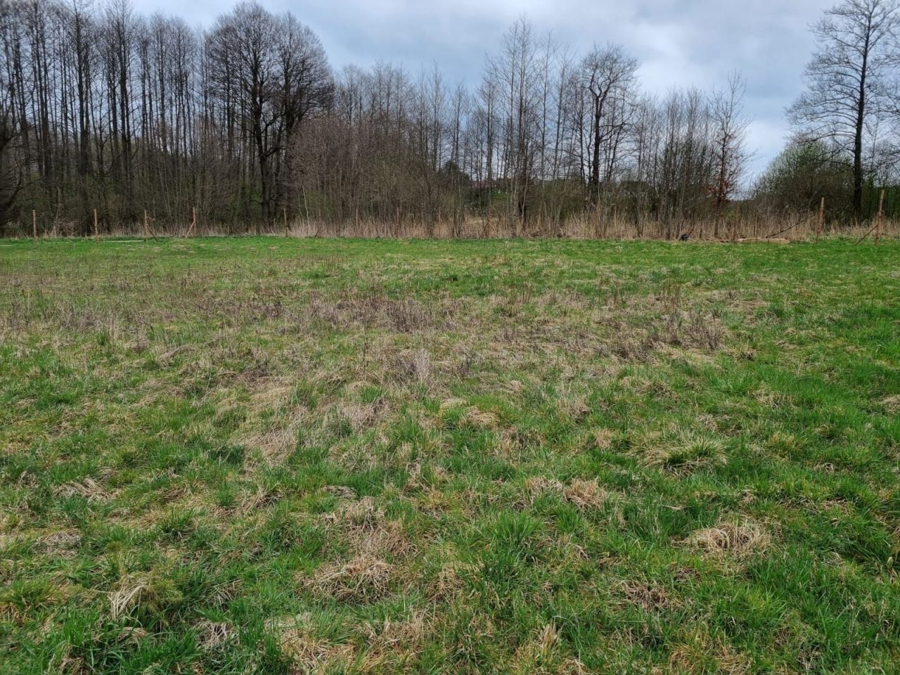 Działka rolno-budowlana Woryty, al. Topolowa. Zdjęcie 3