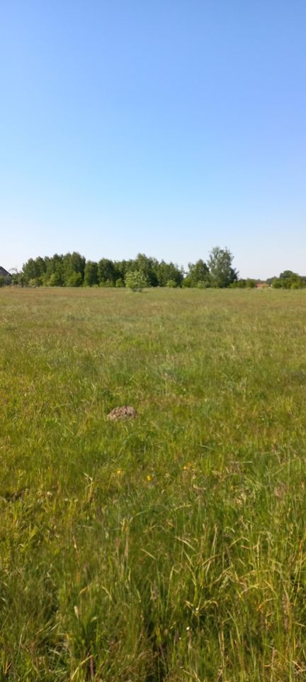 Działka rolno-budowlana Wincentów. Zdjęcie 8