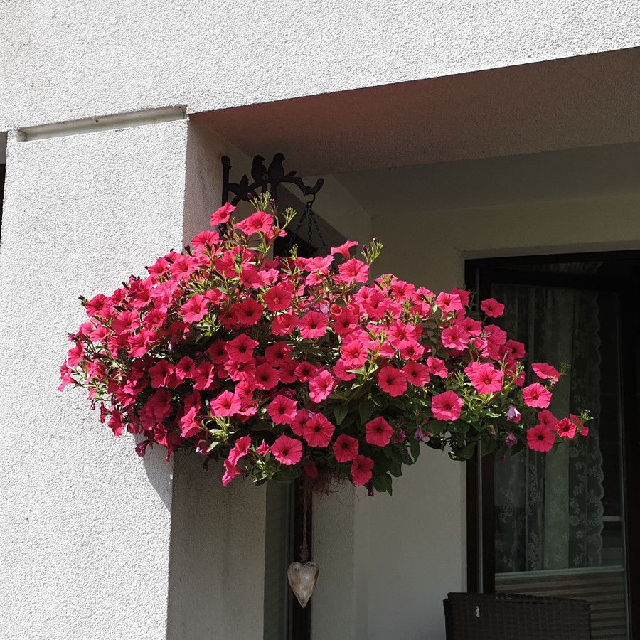 Mieszkanie 2-pokojowe Grodzisk Mazowiecki, ul. Rusałki. Zdjęcie 8