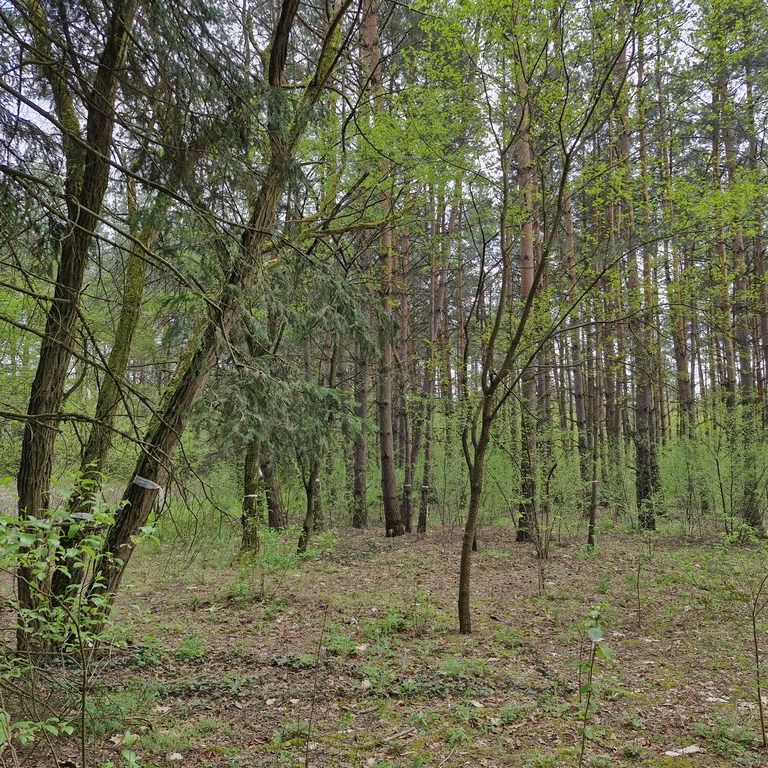 Działka rekreacyjna Osiedle Wilga. Zdjęcie 6