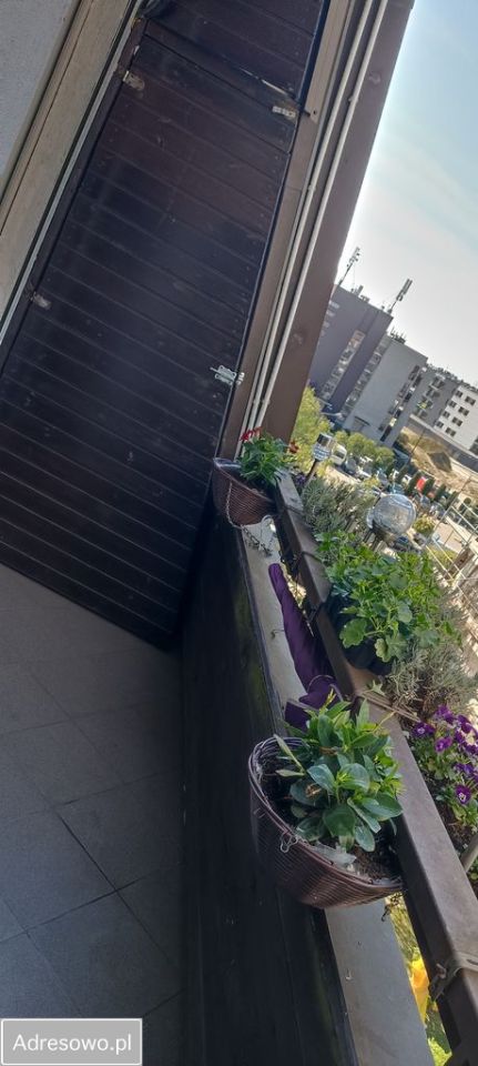 Mieszkanie 3-pokojowe Ząbki, ul. Powstańców. Zdjęcie 4