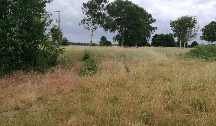 Działka budowlana Łokciowe