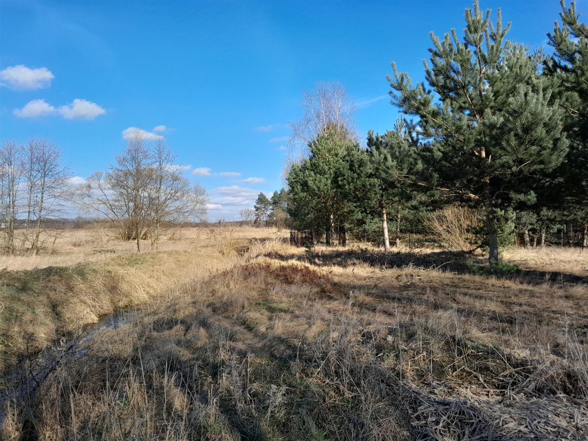 Działka budowlana Jerwonice. Zdjęcie 7