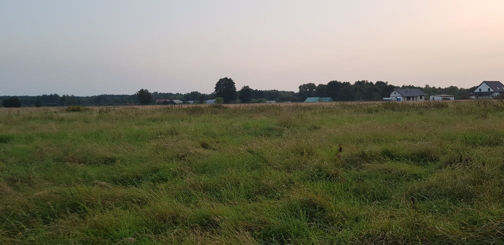 Działka budowlana Skwierzyna, ul. Ceglana Góra. Zdjęcie 3