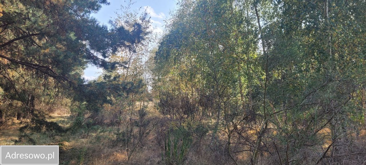 Działka budowlana Wierzchowisko, ul. Spadowa. Zdjęcie 3