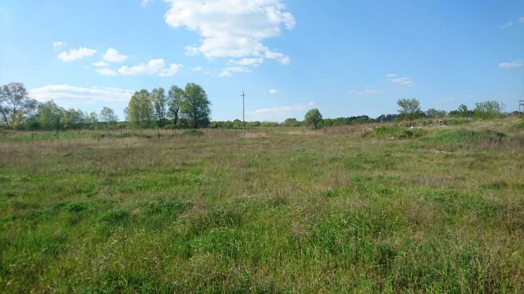 Działka budowlana Zabór. Zdjęcie 8