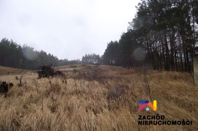 Działka budowlana Zielona Góra Łężyca. Zdjęcie 5