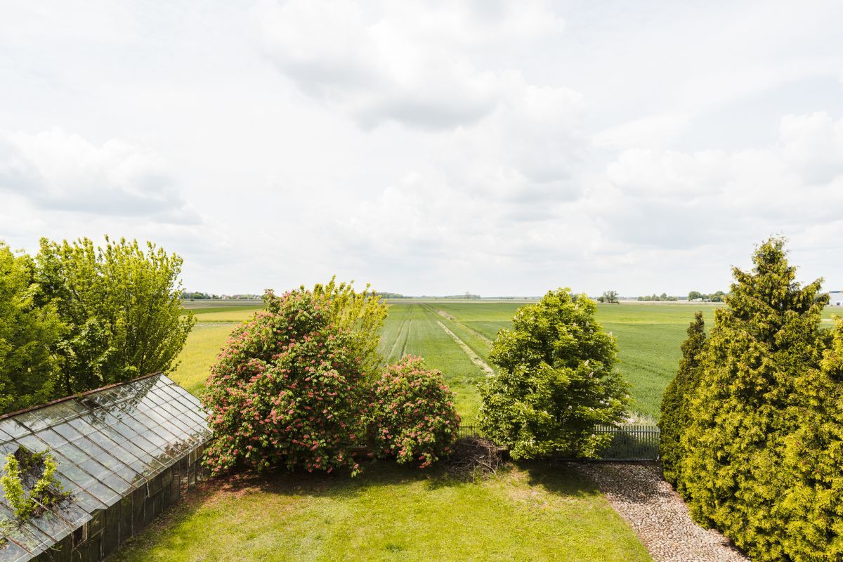dom wolnostojący, 12 pokoi Tłuste. Zdjęcie 6