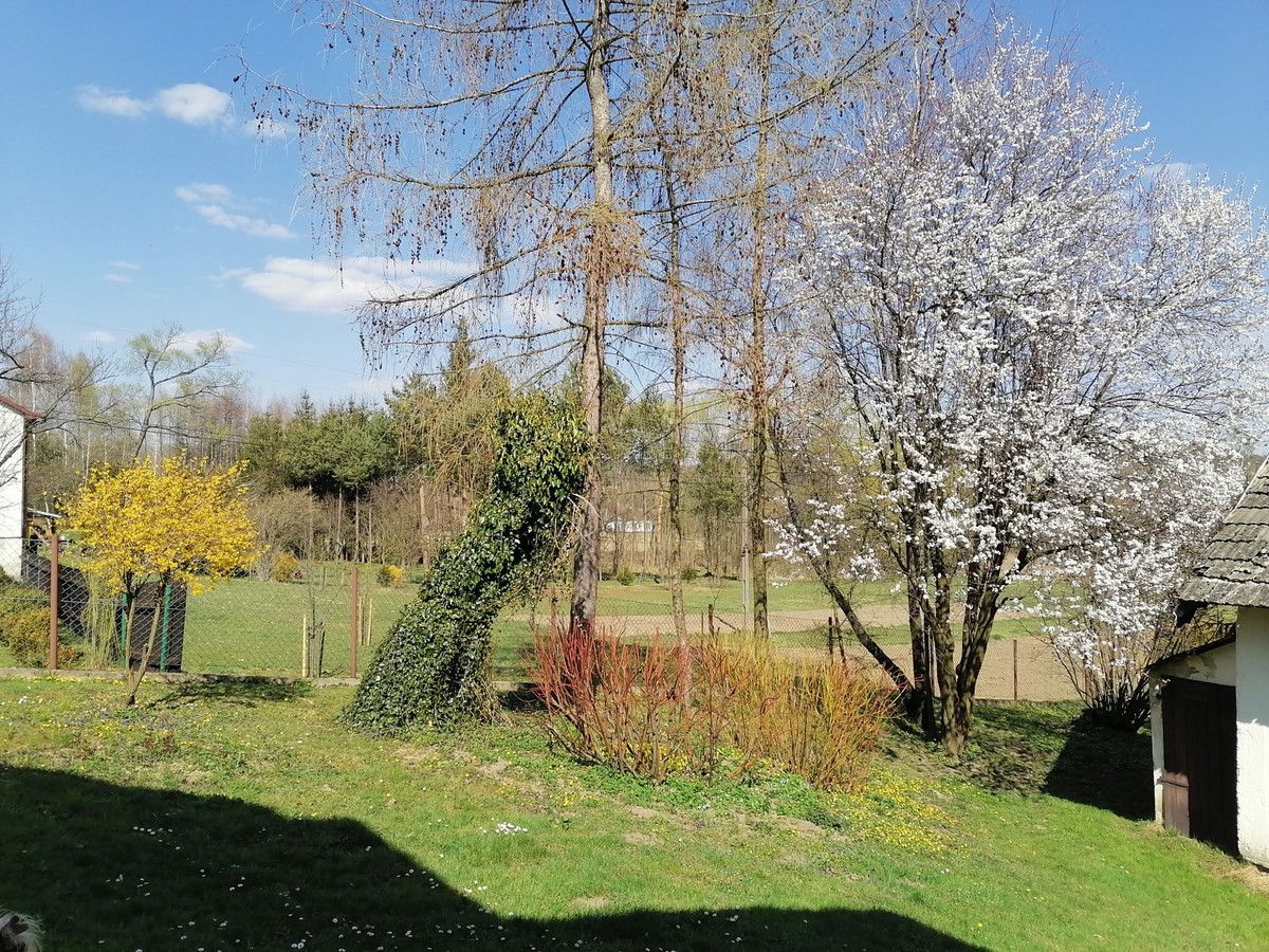 Działka budowlana Lipinki. Zdjęcie 4