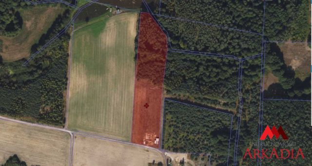 Działka Lipno. Zdjęcie 2