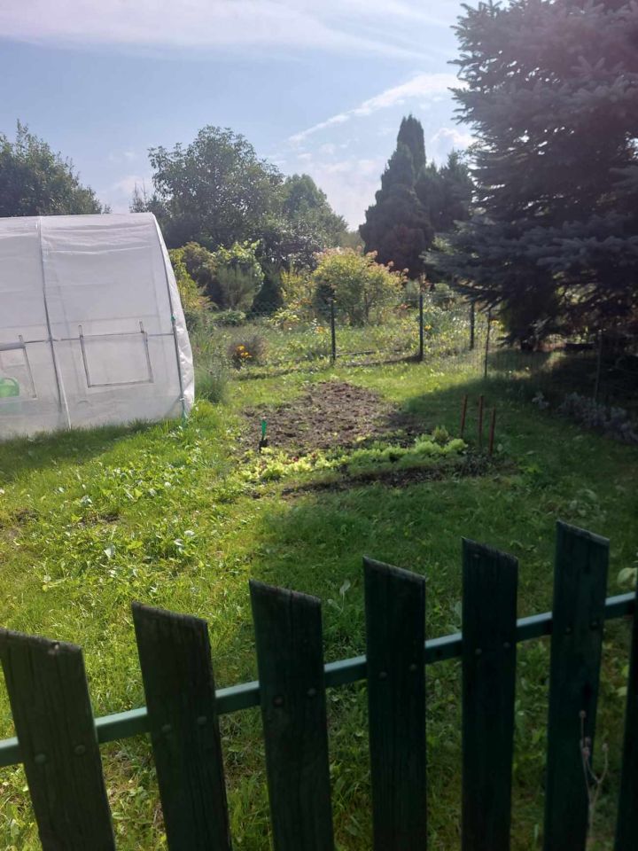 Działka rod Grójec, ul. Graniczna. Zdjęcie 14