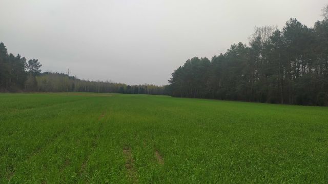 Działka rolna Kąty-Wielgi. Zdjęcie 1