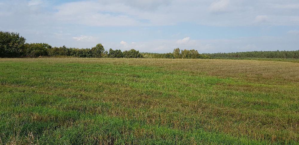 Działka rolna Rakowieckie Pole. Zdjęcie 3