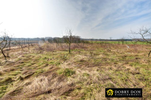 dom wolnostojący, 3 pokoje Nurzec-Stacja. Zdjęcie 8