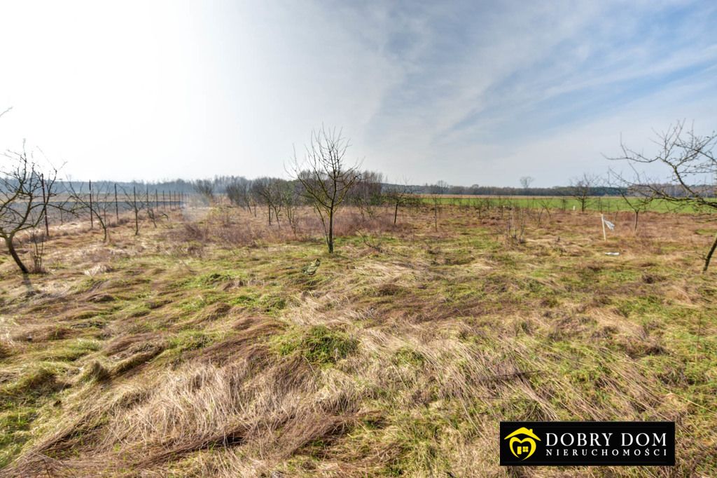 dom wolnostojący, 3 pokoje Nurzec-Stacja. Zdjęcie 8