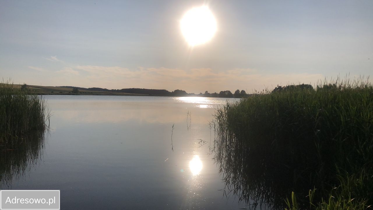 dom wolnostojący, 3 pokoje Grodzisko. Zdjęcie 3