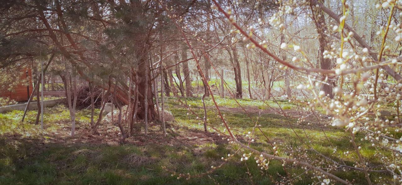 Działka budowlana Opalino. Zdjęcie 8