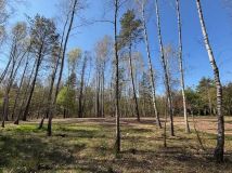 Działka budowlana Puste Łąki. Zdjęcie 1