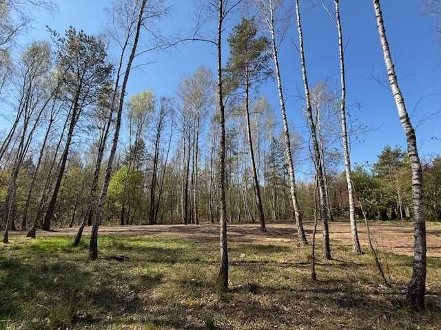 Działka budowlana Puste Łąki. Zdjęcie 2