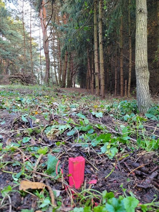 Działka budowlana Kuczki. Zdjęcie 6