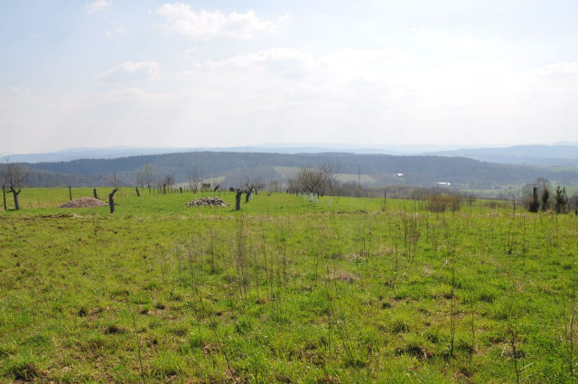 Działka budowlana Buków. Zdjęcie 1